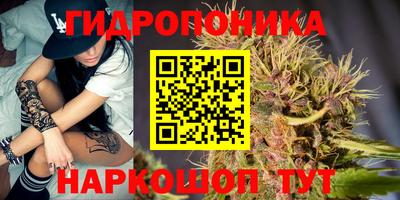 стафф Новозыбков