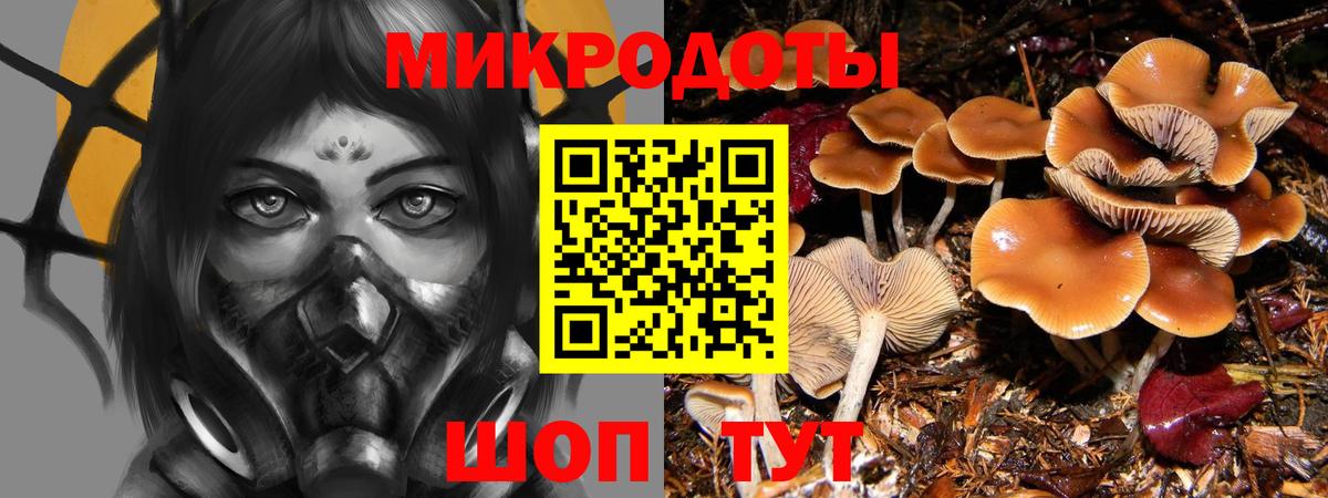 Галлюциногенные грибы Magic Shrooms  Галлюциногенные грибы прущие грибы  Вход с VPN  где купить   Славянск-на-Кубани 